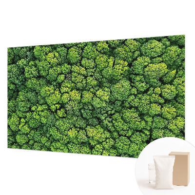 Naadloos fotobehang Bospanorama
