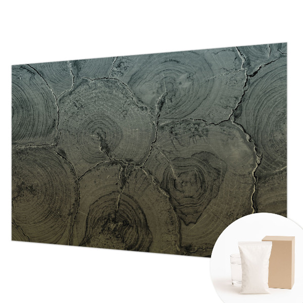 Groot fotobehang Houten ringen