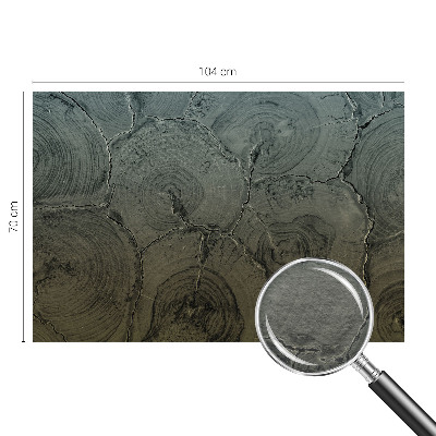 Groot fotobehang Houten ringen