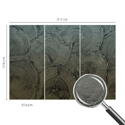 Groot fotobehang Houten ringen