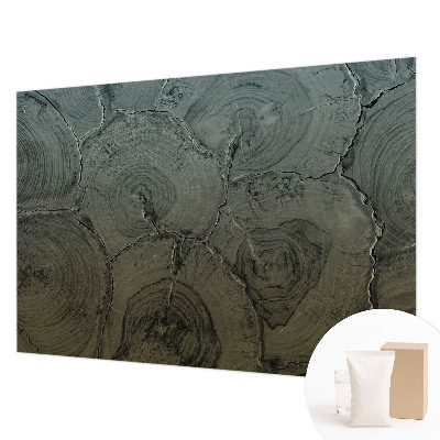 Groot fotobehang Houten ringen