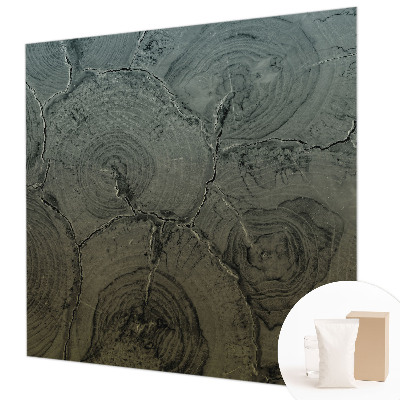 Groot fotobehang Houten ringen