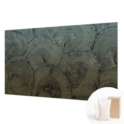 Groot fotobehang Houten ringen