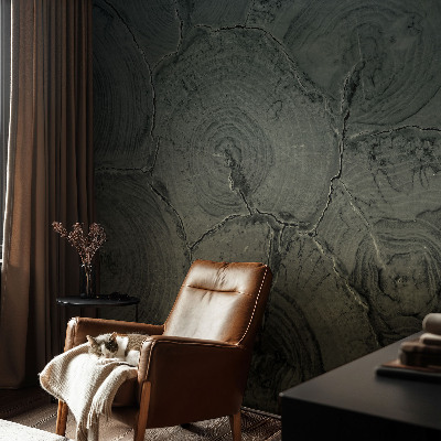 Groot fotobehang Houten ringen