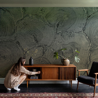 Groot fotobehang met houten ringen