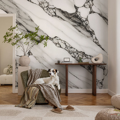 Groot fotobehang Steenpatroon