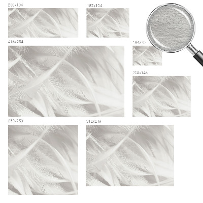 Fotobehang voor de slaapkamer Subtiele veren