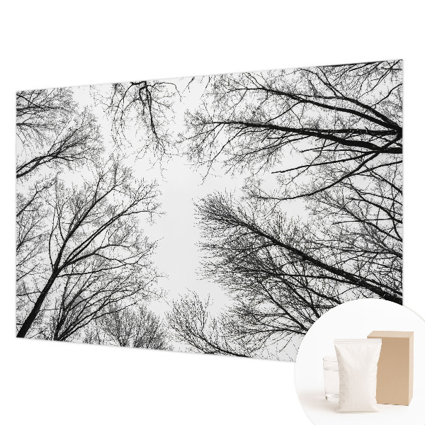 Hoogwaardig fotobehang Kale takken