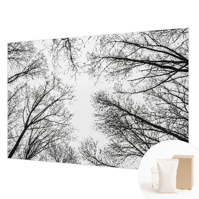 Hoogwaardig fotobehang met een patroon van kale takken