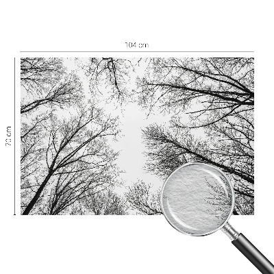 Hoogwaardig fotobehang met een patroon van kale takken