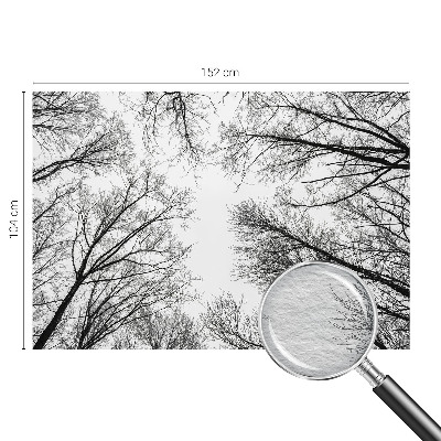 Hoogwaardig fotobehang met een patroon van kale takken