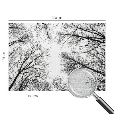 Hoogwaardig fotobehang Kale takken