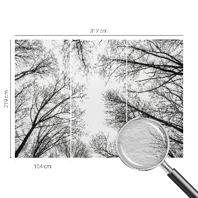 Hoogwaardig fotobehang Kale takken