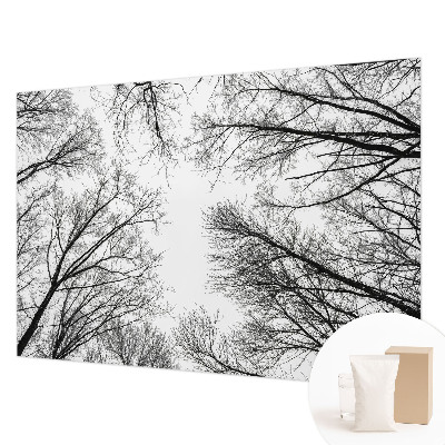 Hoogwaardig fotobehang met een patroon van kale takken