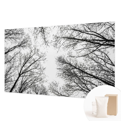 Hoogwaardig fotobehang Kale takken