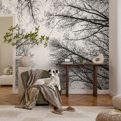 Hoogwaardig fotobehang met een patroon van kale takken