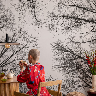 Hoogwaardig fotobehang Kale takken