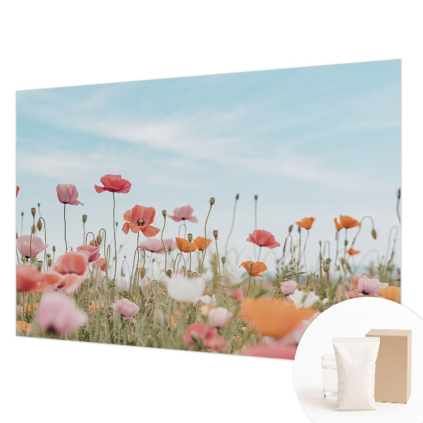 Fotobehang voor slaapkamer Klaprozen