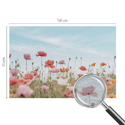 Fotobehang voor slaapkamer Klaprozen