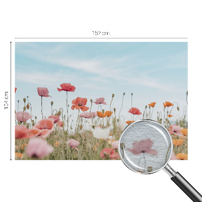 Fotobehang voor slaapkamer Klaprozen