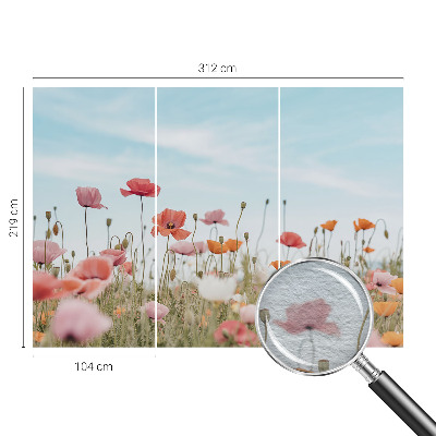 Fotobehang voor slaapkamer Klaprozen