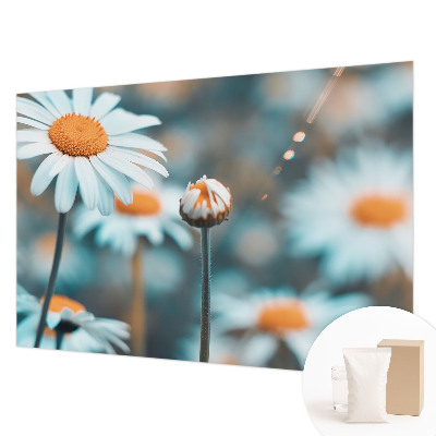 Hoogwaardig fotobehang met een print van kamille als delicatesse