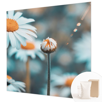 Hoogwaardig fotobehang Kamille delicatesse