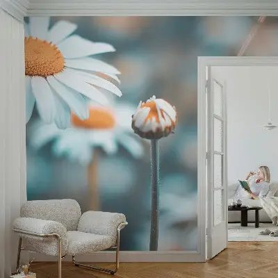 Hoogwaardig fotobehang met een print van kamille als delicatesse
