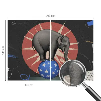 Premium fotobehang met afbeelding van een circusolifant