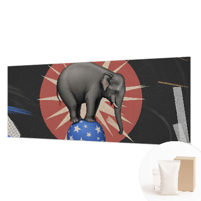 Premium fotobehang Circusolifant