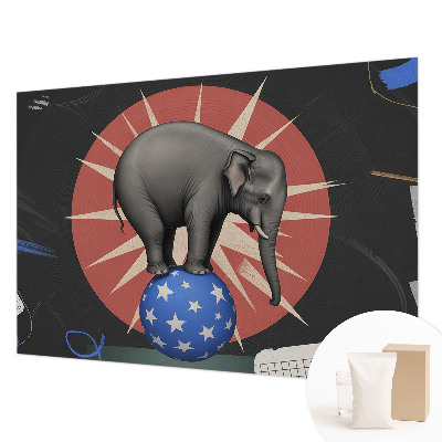 Premium fotobehang Circusolifant