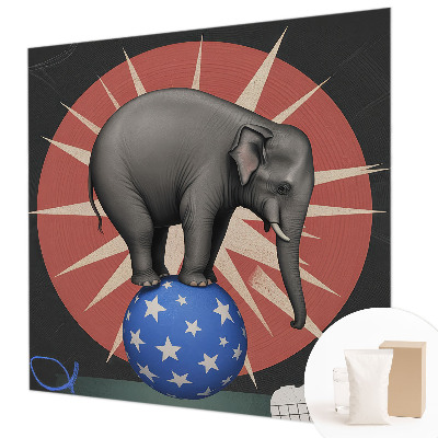 Premium fotobehang Circusolifant