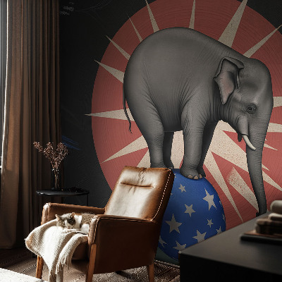 Premium fotobehang Circusolifant