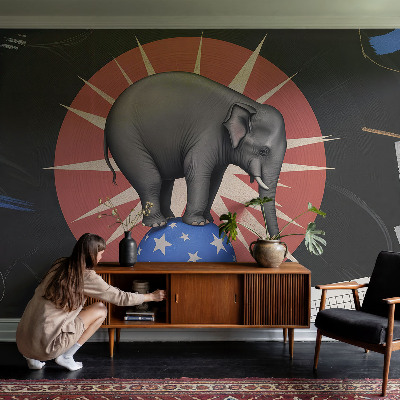Premium fotobehang Circusolifant