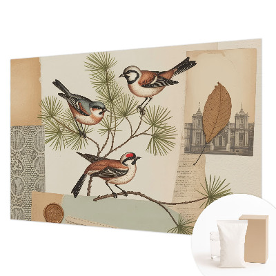 Sfeervol fotobehang Vogelcollage