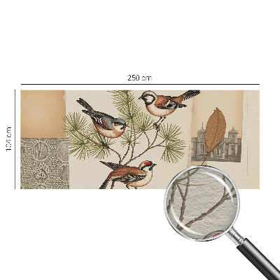 Sfeervol fotobehang Vogelcollage