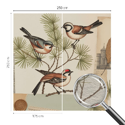 Sfeervol fotobehang Vogelcollage
