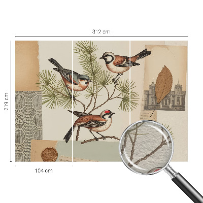 Sfeervol fotobehang Vogelcollage