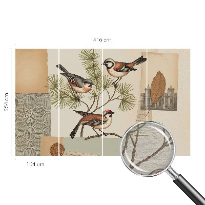 Sfeervol fotobehang Vogelcollage