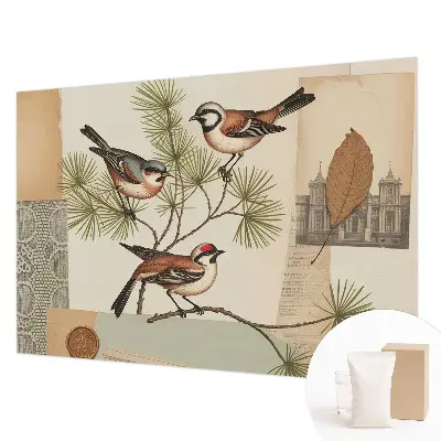 Sfeervol fotobehang met een vogelcollage
