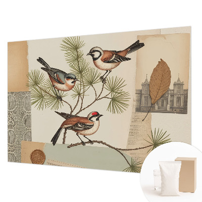 Sfeervol fotobehang Vogelcollage