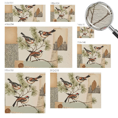 Sfeervol fotobehang Vogelcollage