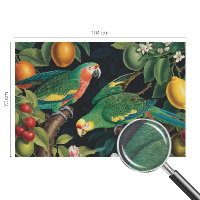 Groot fotobehang Tropisch avontuur