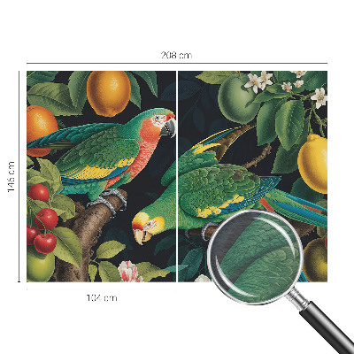 Groot fotobehang Tropisch avontuur