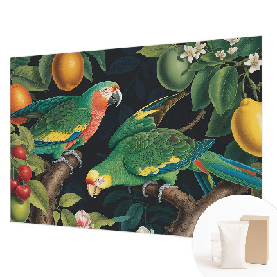 Groot fotobehang Tropisch avontuur