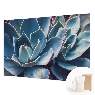 Muur behang Groene aloë