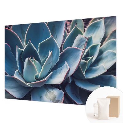 Muur behang Groene aloë