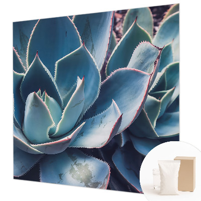 Muur behang Groene aloë