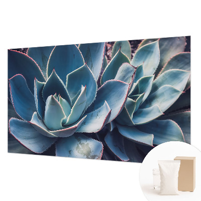 Muur behang Groene aloë