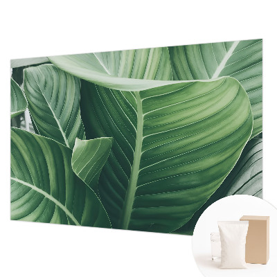 Uniek fotobehang Greenpeace